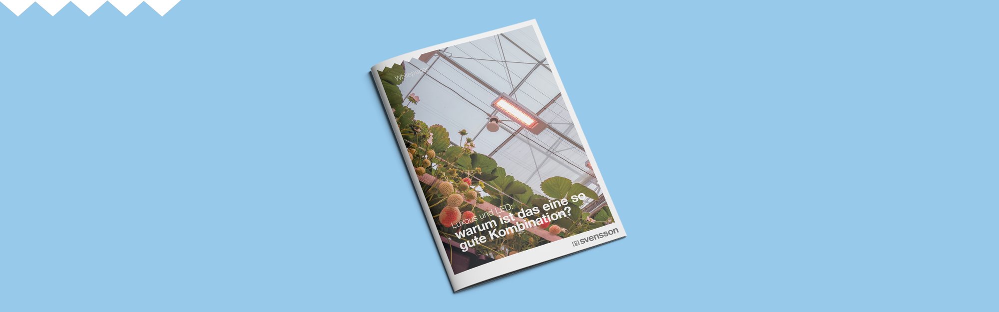 2024 Whitepaper Duits