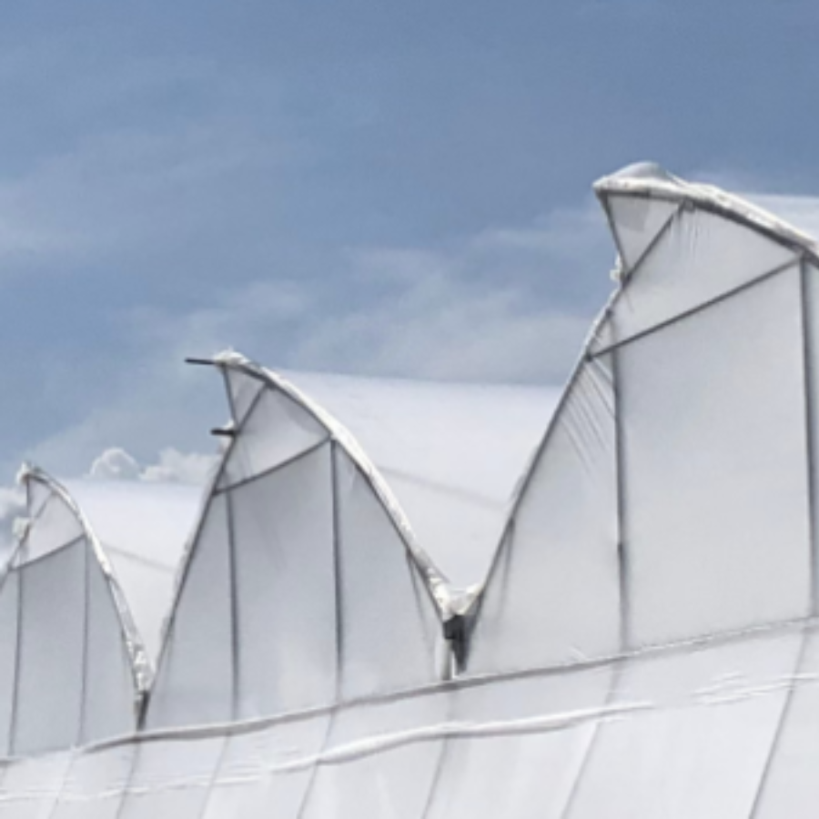 5-Nov-03-2025-03-24-10-6992-PM