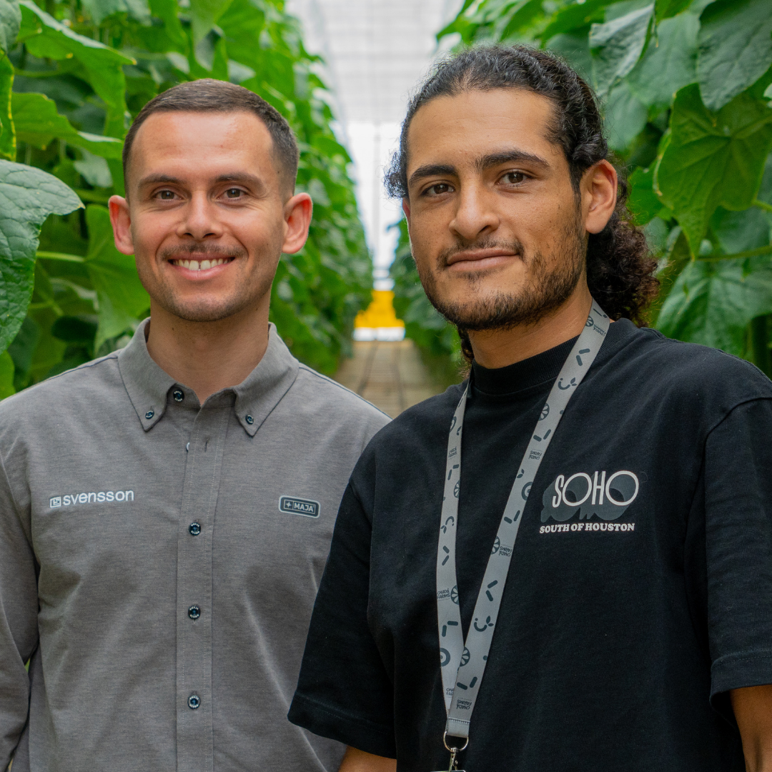 CS - 2026 Brand Photos - Sebastien Gerardo - LSMX - With Grower - Square Size - Cucumbers CS - 2026 Brand Photos - Sebastien Gerardo - LSMX - With Grower - Square Size - Cucumbers