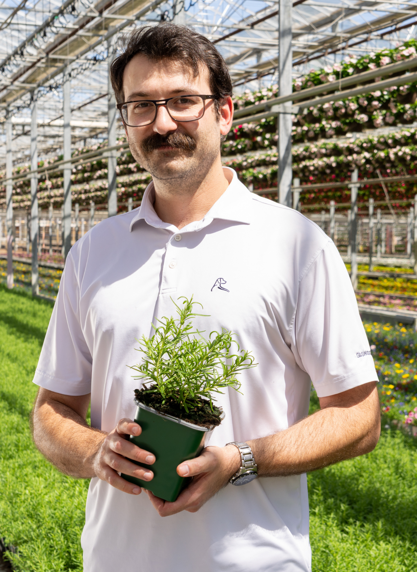 CS - Paul Arena - Rockwell Farms - Rosemary - Herbs - 2026 CS - Paul Arena - Rockwell Farms - Rosemary - Herbs - 2026