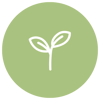 CT - Seedling Icon - Green - Circle