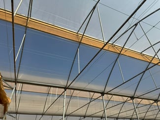 Greenhouse dust 50 mesh