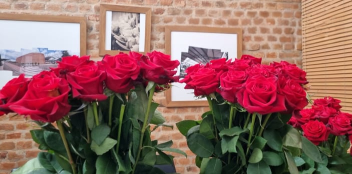 Image_Petal Blackening