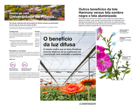 Imagen para landing page Brasil-1 Imagen para landing page Brasil-1