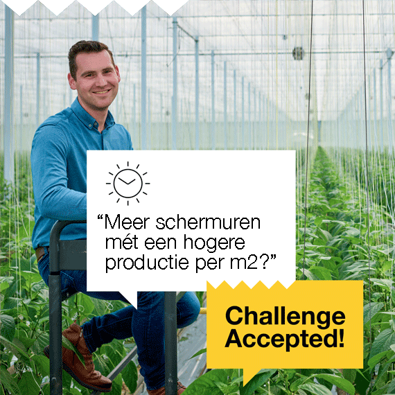 Joris_Site_CA_NL-1