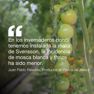 Juan Pablo Palacio_Quote_ES