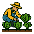 Leafy Greens Icons (3)