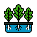 Leafy Greens Icons (4)