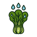 Leafy Greens Icons (5)