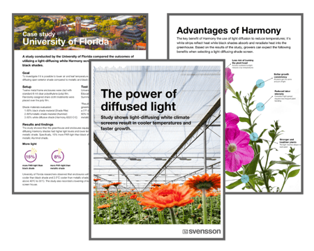 Light diffusion brochure with borders