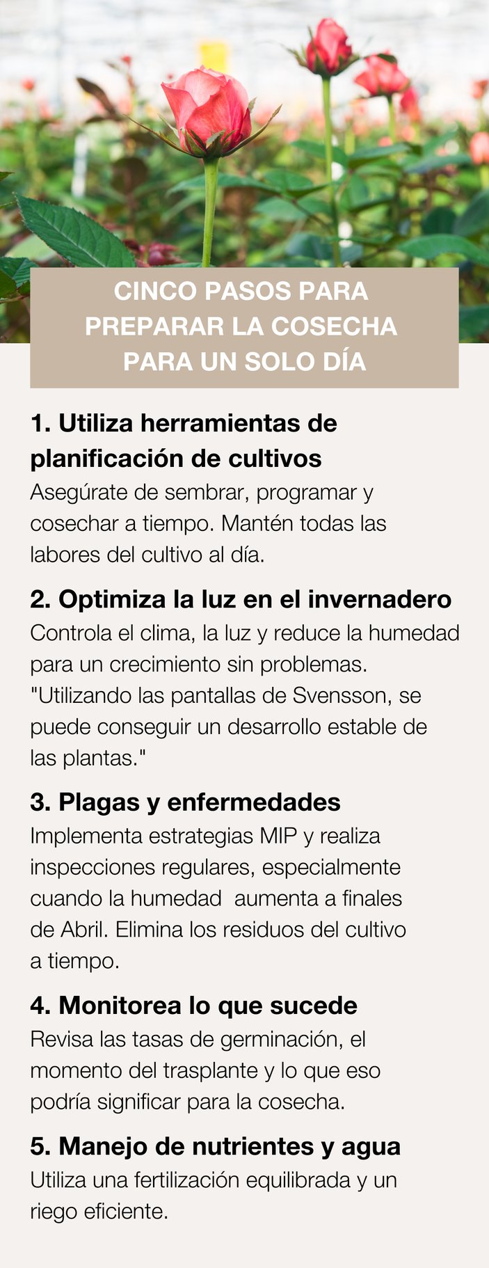 Mothers day article infographic_ES new