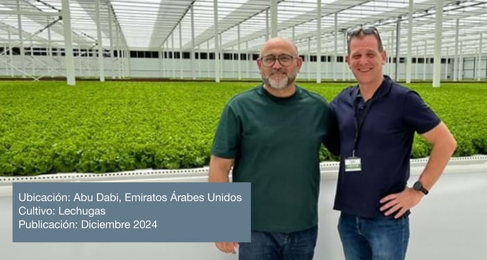 Post December 2024_ES