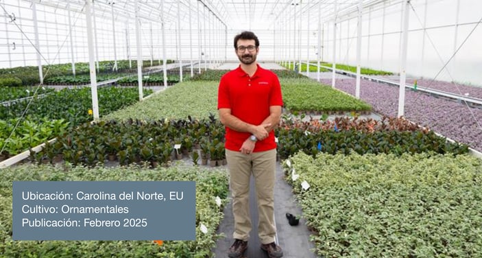 Post February 2025_ES