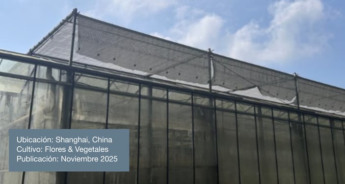 Post November 2025_ES