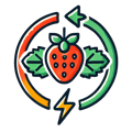 Strawberry energy