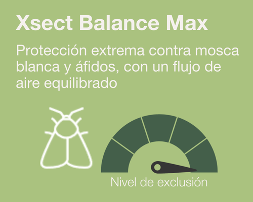 Xsect Balance new Max v3_ES