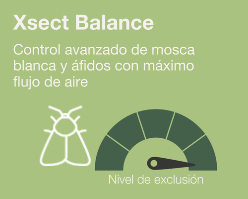 Xsect Balance new v3_ES