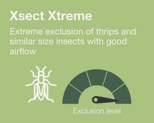 Xsect Xtreme new v3_EN