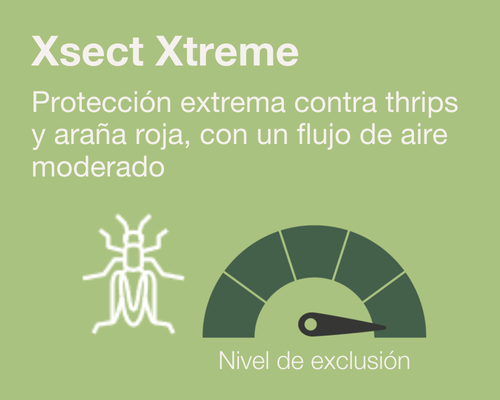 Xsect Xtreme new v3_ES