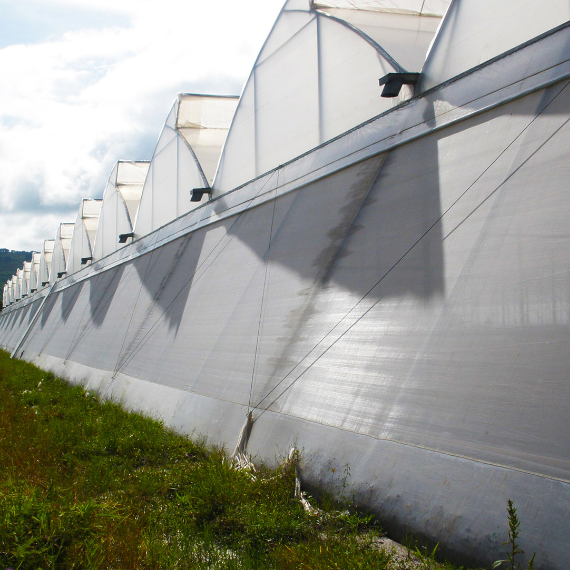 Xsect greenhouse Xsect greenhouse