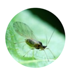 image-png-Oct-30-2025-01-37-32-5240-PM