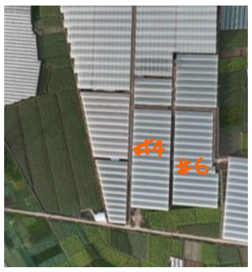 satellite picture of greenhouse 4 and 6