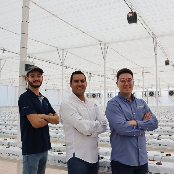 Climate Consultants LSMX-1