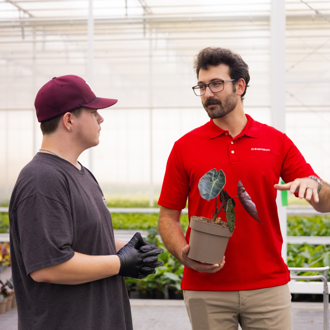 Paul and Grower