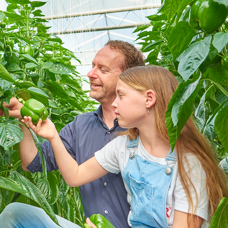 Pepper_grower_girl