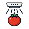 Tomate_icon_1